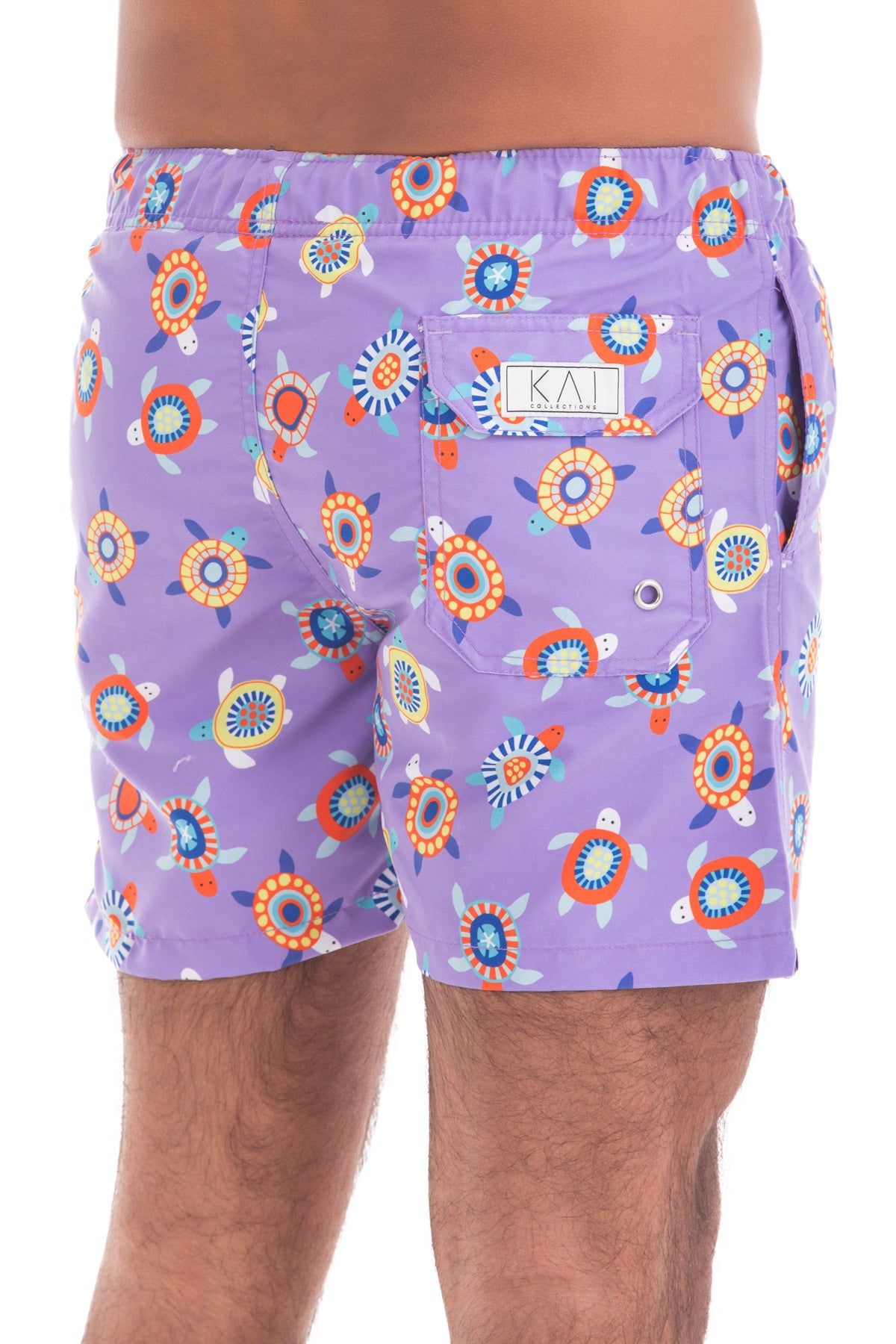 Purple Turtles Purple Turtles