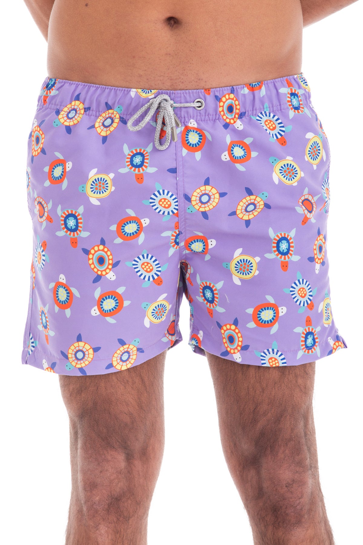 Purple Turtles Purple Turtles