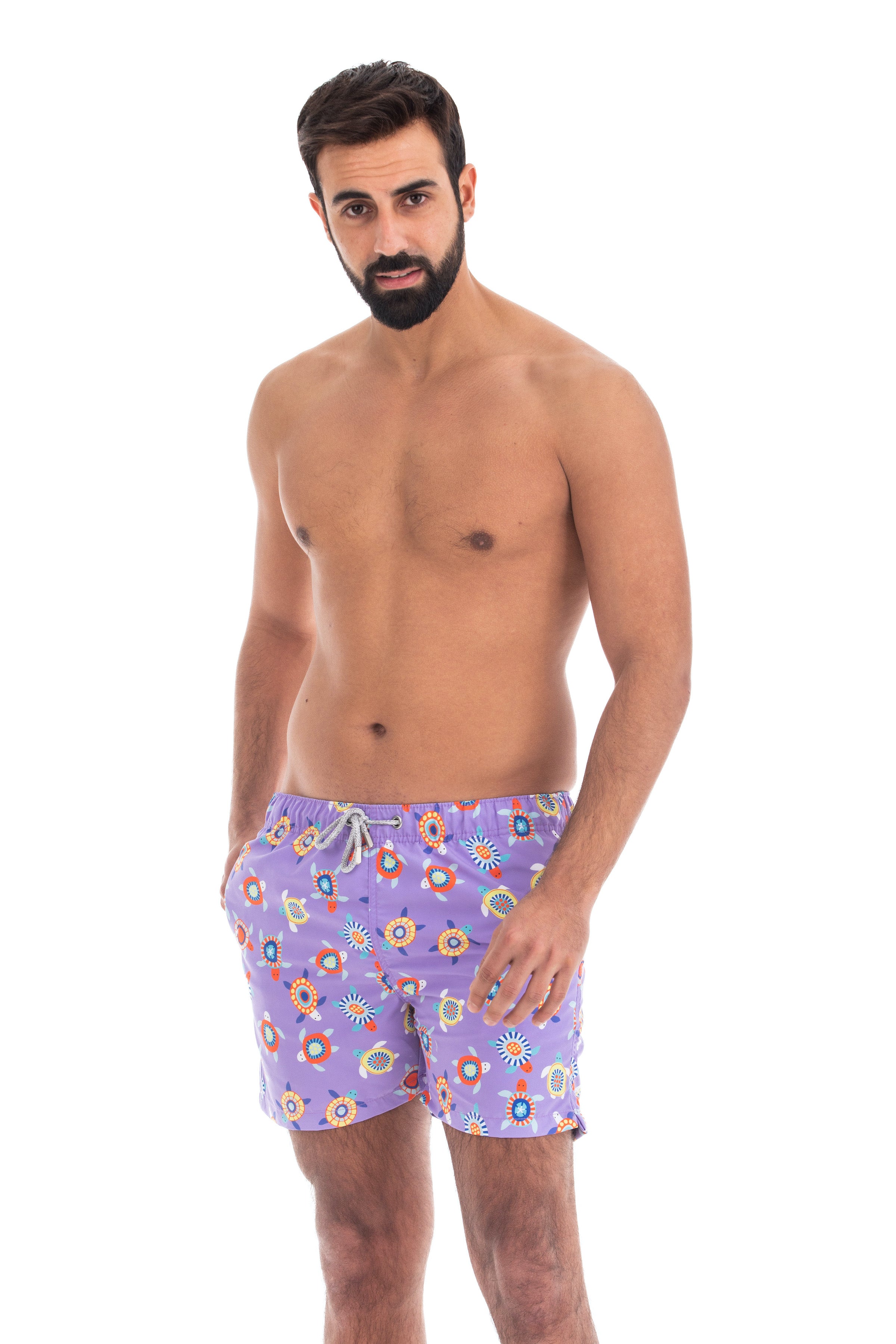 Purple Turtles Purple Turtles